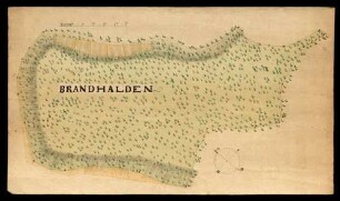 o.T. [Grundriss über die Waldung Brandhalden (im Heidenheimer Forst?)]