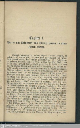 Capitel I. Wie es um Cainsdorf und Planitz herum in alten Zeiten aussah