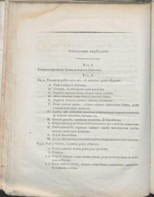Tabularum explicatio.