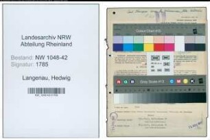 Entnazifizierung Hedwig Langenau , geb. 07.07.1909 (Sekretaerin)
