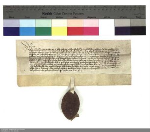 Lehenbrief Johanns [von Merlau], Abt von Fulda, für die Brüder Friedrich und Erhard von Sternberg über zwei Vorwerke in Milz und weitere im Einzelnen aufgeführte Lehen