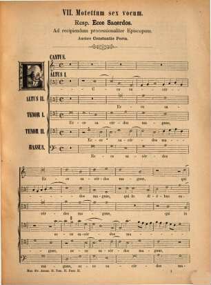 Liber motettorum, 2. Nr. VII - XVI