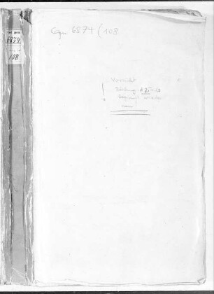 Medizinisch-topographische und ethnographische Beschreibung der Physikatsbezirke Bayerns aufgrund der Entschließung vom 21. 4. 1858, Bd. 108: Marktbreit, Marktheidenfeld, Marktsteft, Mellrichstadt, Miltenberg, Münnerstadt - BSB Cgm 6874(108
