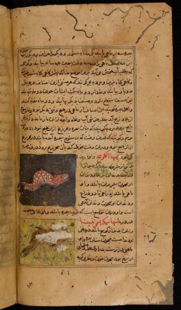 Illustration: f. 64v-65v