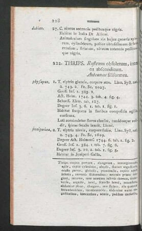 222. Thrips. - 230. Rhagio.