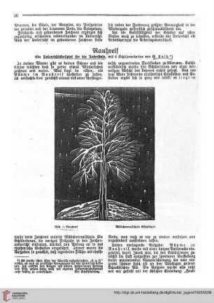 N.F. 5.1925: Rauhreif : ein Unterrichtsbeispiel für die Unterstufe, mit 4 Schülerarbeiten