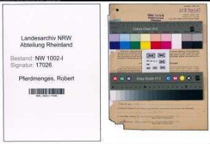 Entnazifizierung Robert Pferdmenges, geb. 27.03.1880 (Kaufmann)