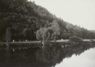 Mittelsächsisches Bergland. Zwickauer Muldenlandschaft bei Seupahn unterhalb von Rochlitz mit Weidevieh.