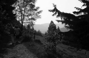 Blick vom Höhenweg Titisee-Feldberg auf den Feldberg