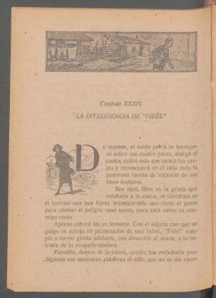 Capítulo XXXIV - La inteligencia de "Fidel"