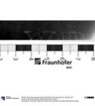 Buchstaben (zweikonturig): [ADV&S] (Fragment)