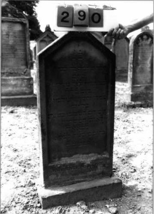 Grabstein 290 (Index: 99797826) Material: Sandstein, weiß Zustand: leicht verwittert Maße HxBxT: 91x41x11 cm Beschreibung: Stele, giebelartiger abgeflachter Abschluß, Sockel: Grabstein 290