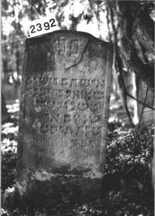 Grabstein 2392