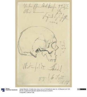 Schädel des Hans Karl von Winterfeldt