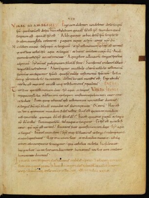 Epistola 28