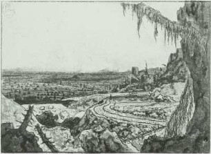 Landschaft mit dem Fichtenzweig