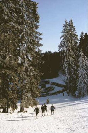 Schauinsland: Skiläufer kommen aus Wald