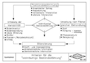 Kriterien für die "kleinräumige Bestandesführung"