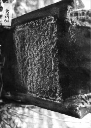 Grabstein 1095 (Index: 99753254) Material: Sandstein Zustand: stark verwitt/großer Textverlust Maße HxBxT: 84x45x9 cm Beschreibung: Stele, eingezogener Rundbogenabschluß, Schriftfeld eingetieft: Grabstein 1095B