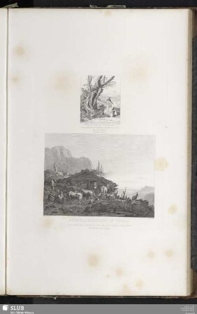 Abendlandschaft in Tyrol