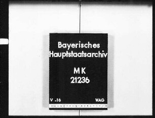 Germersheim. Lateinische Schule. Errichtung, Dotierung, Lehrstellen, Schenkung, Gebäude.