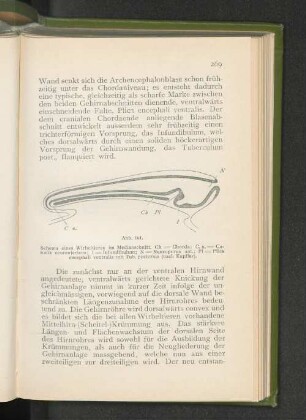 Abb. 161.
