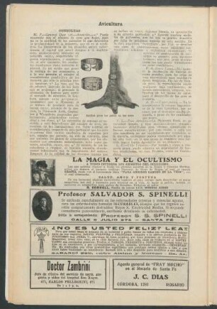 Avicultura : Consultas
