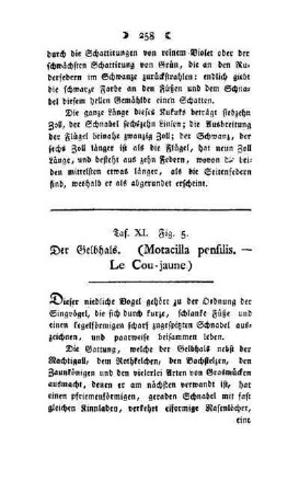 ¬Der¬ Geldhals : (Motacilla pensilis - Le Cou-jaune) ; Taf. XI, Fig. 5