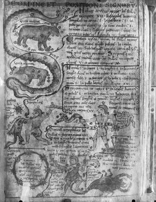 Liber Floridus Lamberti Canonici — Sternbilder, Folio 89