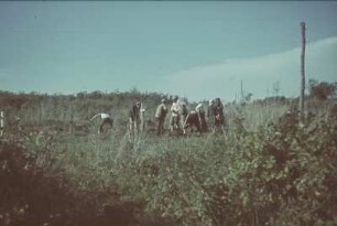 Zweiter Weltkrieg. Sowjetunion. Zur Einquartierung (wahrscheinlich in der Ukraine). Bäuerinnen und Bauern auf dem Feld