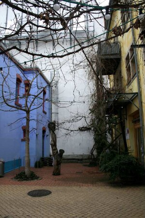 Dresden: Kunsthofpassage in der Neustadt