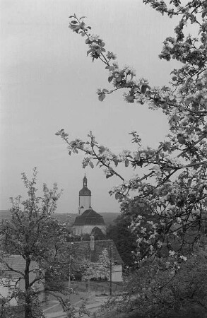 Blick auf ein thüringisches Dorf mit Kirche, im Vordergrund ein blühender Baum