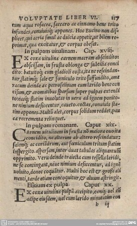 Essitium ex pulpa. Caput XX.