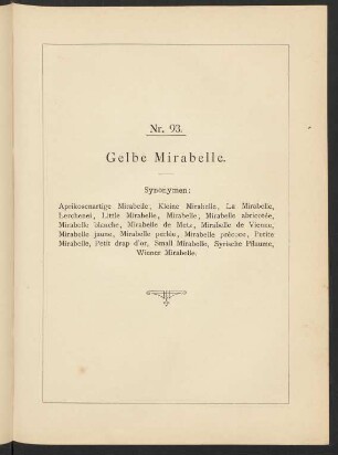 Nr. 93. Gelbe Mirabelle