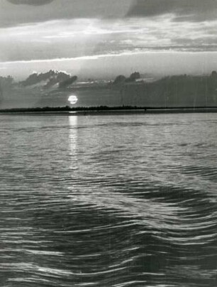 Impression. Sonnenuntergang an der Unterelbe