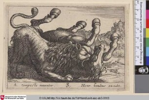[Kampf zwischen einem Löwen und einem Pferd; Lion and Horse Fighting]