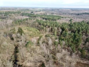 Tangstedt: Wiemerskamp: Wiemerskamper Weg: Luftbild des Duvenstedter Brooks in Richtung Südosten