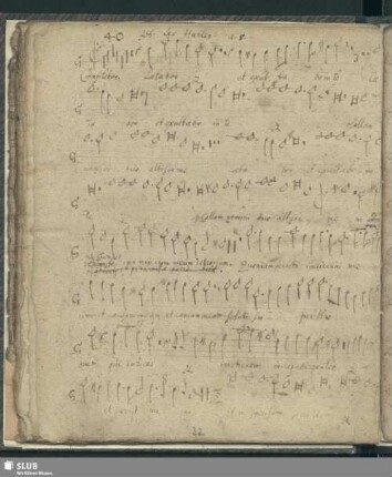 40. Hassler, Hans Leo: Confitebor tibi Domine