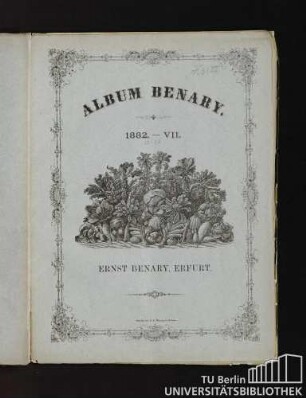 Album Benary. 1882. - VII. 25 - 28. Ernst Benary, Erfurt.