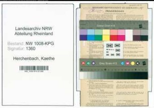Entnazifizierung Kaethe Herchenbach , geb. 10.04.1902 (Pflegerin)