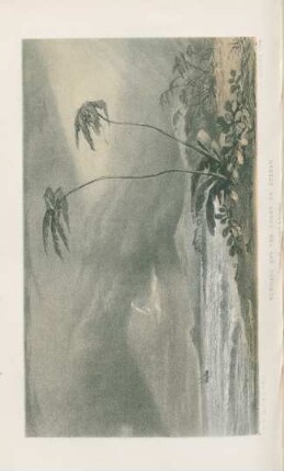 Tornado at the coast of Qhedah