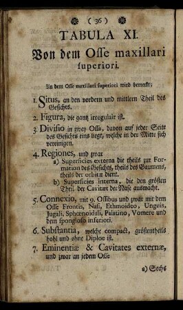 Tabula XI. Von dem Osse maxillari superiori.