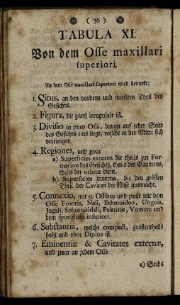 Tabula XI. Von dem Osse maxillari superiori.