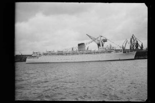 Arkadia (1931)