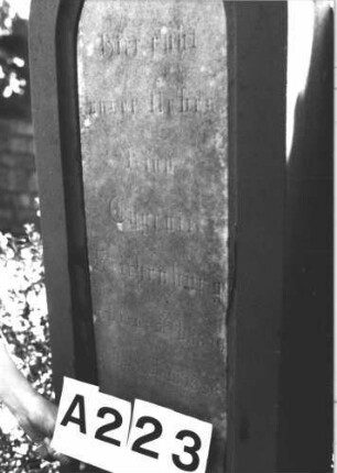 Grabstein 223 (Index: 100082162) Material: Sandstein, weiße Marmorplatte Zustand: leicht verwittert Maße HxBxT: 135x45x25 cm Beschreibung: Stele, profiliert. Sockel, Rundbogenabschl. m. Mittelakroter, Schriftplatte Symbolik: Ranken: Grabstein 223A (2)