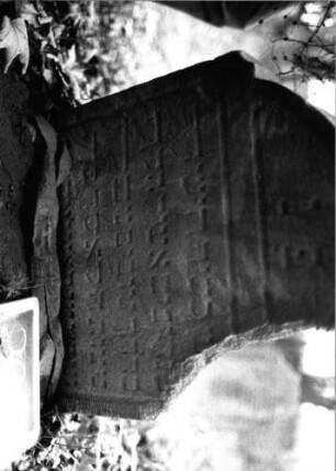 Grabstein 207 (Index: 99803279) Material: Sandstein Zustand: abgebroch/eingesunk/völl. Textverl. Maße HxBxT: 72x58x9 cm Beschreibung: Stel emit eingezogenem Rundbogen und profiliertem Rand, Giebelfeld: Grabstein 207 (Nachholaufnahme 1)
