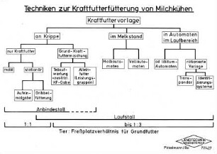 Techniken zur Kraftfutterfütterung von Milchkühen