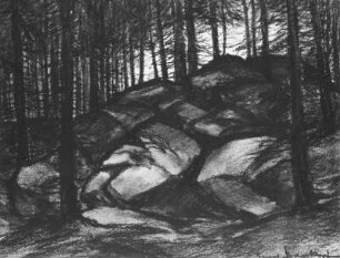 Waldstück in der Sächsischen Schweiz : Bernkopf, Georg: Waldstück mit Fichten und Felsen in der Sächsischen Schweiz. Um 1940/1943. Kohlezeichnung, bezeichnet "Georg Bernkopf"