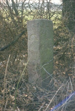 Alter Postweg: nahe Kreuzung mit Straße Gartenholz: Grenzstein [Nr. 69] zwischen Gut Ahrensburg und Amt Tremsbüttel: Seite Tremsbüttel: auf Schmalseite Hufeisen-Symbol