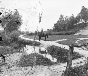 Reiter und Fohlen an einem Wasserlauf